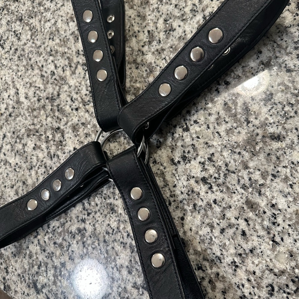 Black Leather Harness - Picture 4 of 4